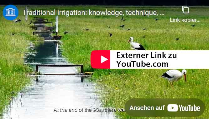 Externer Link zu YouTube Print Screen Video auf YouTube - Externer Link